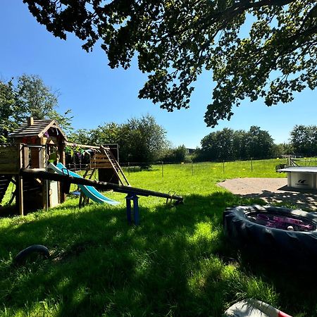 Hof Vierzehnender Im Hohen Venn - 70Qm Fachwerk-Studio - Grosses Wohn-Schlafzimmer Mit Dachterrasse Und Kaminofen - Separate Kueche - Perfekt Fuer Paare - Monschau - Eifel - Hunde Willkommen - Islandpferde Екстер'єр фото