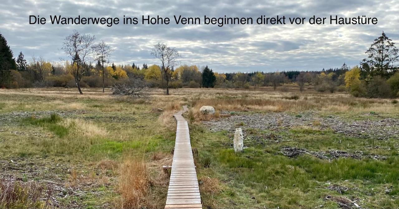 Hof Vierzehnender Im Hohen Venn - 70Qm Fachwerk-Studio - Grosses Wohn-Schlafzimmer Mit Dachterrasse Und Kaminofen - Separate Kueche - Perfekt Fuer Paare - Monschau - Eifel - Hunde Willkommen - Islandpferde Екстер'єр фото