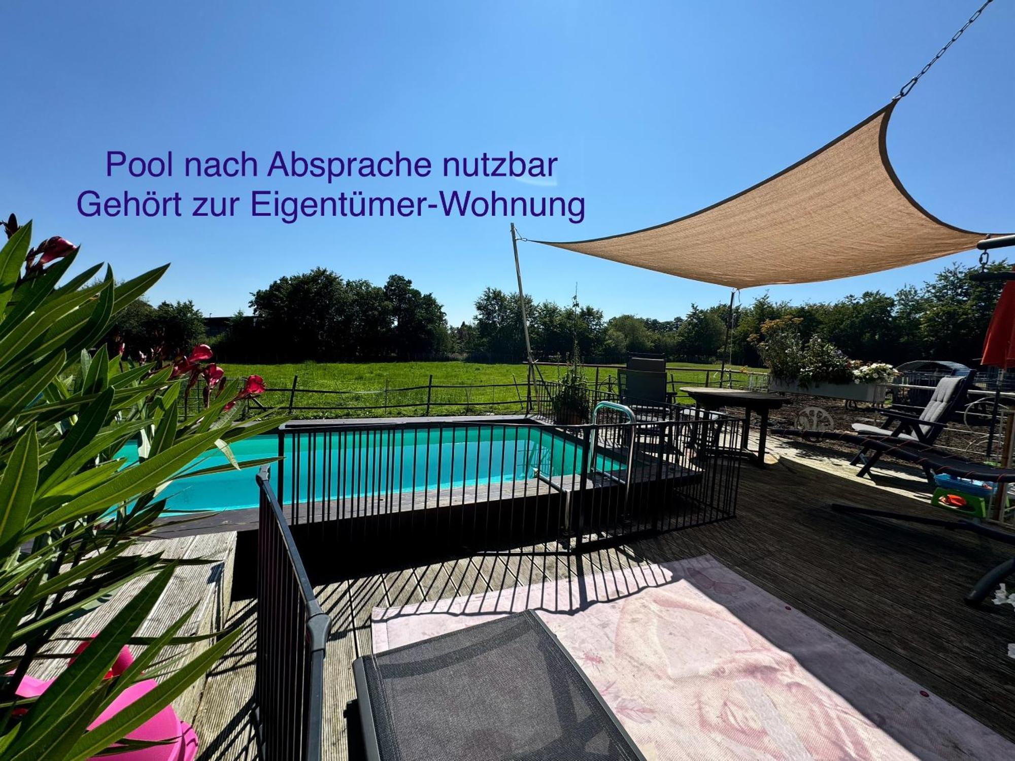 Hof Vierzehnender Im Hohen Venn - 70Qm Fachwerk-Studio - Grosses Wohn-Schlafzimmer Mit Dachterrasse Und Kaminofen - Separate Kueche - Perfekt Fuer Paare - Monschau - Eifel - Hunde Willkommen - Islandpferde Екстер'єр фото