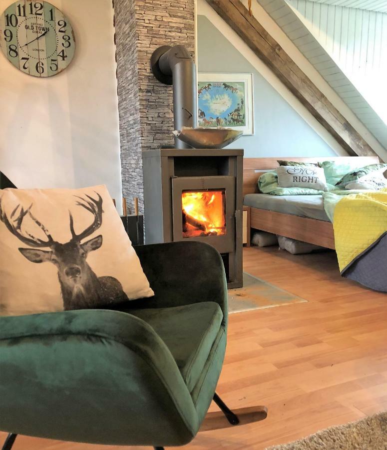 Hof Vierzehnender Im Hohen Venn - 70Qm Fachwerk-Studio - Grosses Wohn-Schlafzimmer Mit Dachterrasse Und Kaminofen - Separate Kueche - Perfekt Fuer Paare - Monschau - Eifel - Hunde Willkommen - Islandpferde Екстер'єр фото