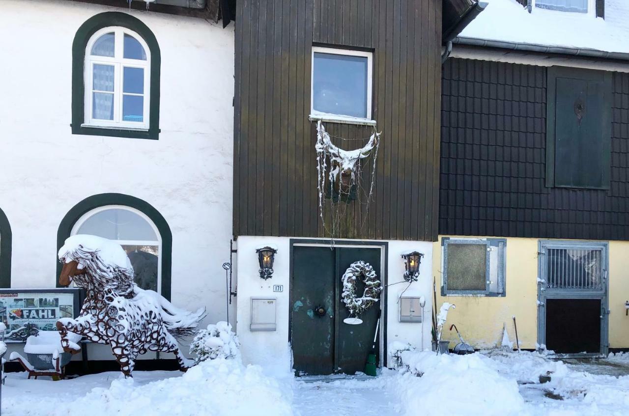 Hof Vierzehnender Im Hohen Venn - 70Qm Fachwerk-Studio - Grosses Wohn-Schlafzimmer Mit Dachterrasse Und Kaminofen - Separate Kueche - Perfekt Fuer Paare - Monschau - Eifel - Hunde Willkommen - Islandpferde Екстер'єр фото